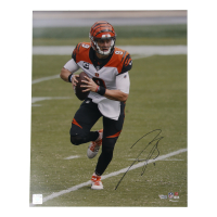 Joe Burrow Signed Bengals 16x20 Photo (Fanatics) at PristineAuction.com