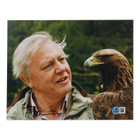 David Attenborough Signed 8x10 Photo (Beckett) at PristineAuction.com