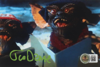 Joe Dante Signed "Gremlins" 4x6 Photo (Beckett) at PristineAuction.com