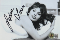 Sophia Loren Signed 4x6 Photo (Beckett) at PristineAuction.com