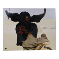Ray Park Signed "Star Wars" 16x20 Photo (Beckett) at PristineAuction.com