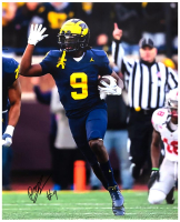 Rod Moore Signed Michigan Wolverines 16x20 Photo (Schwartz) at PristineAuction.com