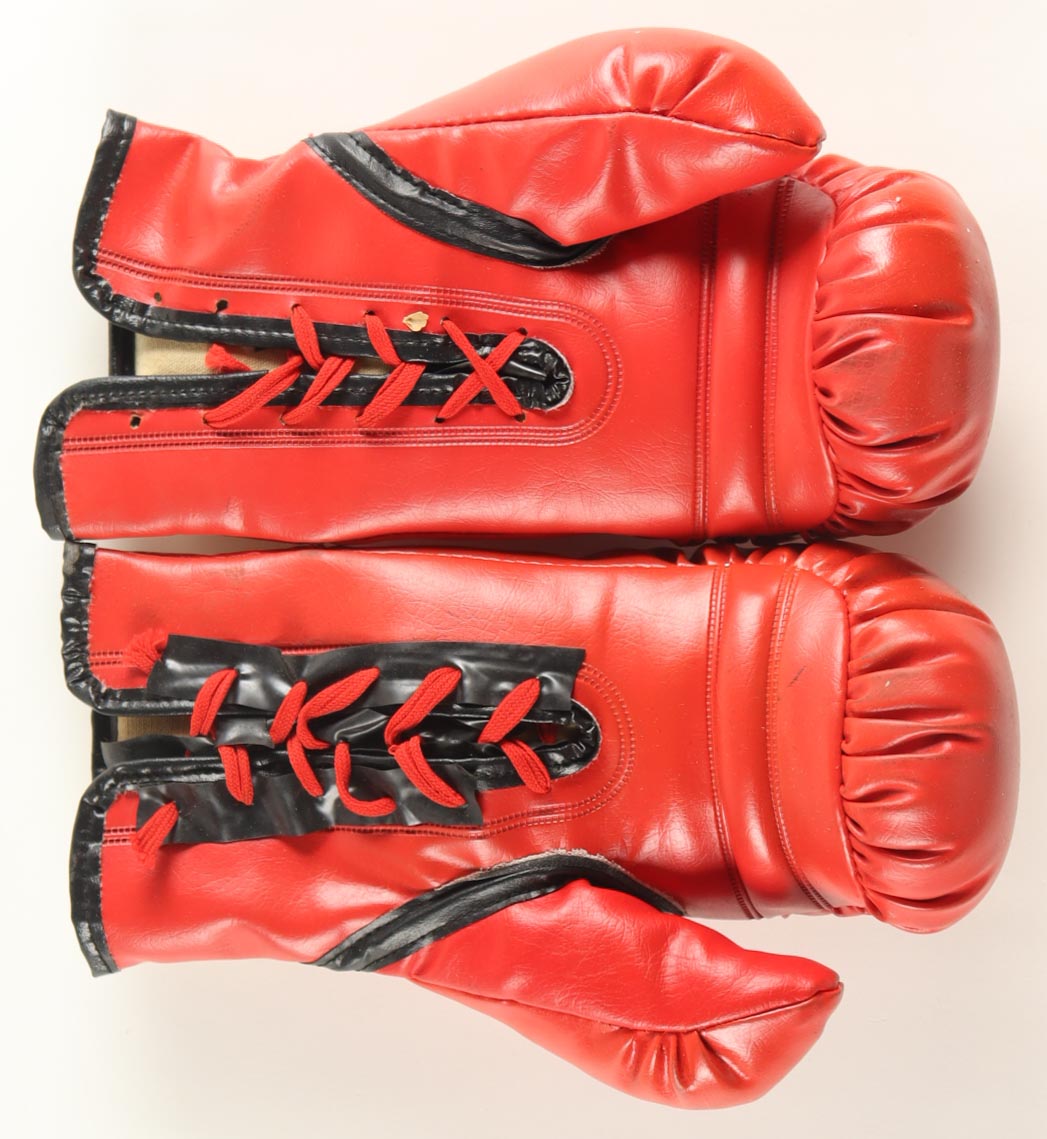 Mike Tyson Signed Pair of Everlast Gloves (PSA & Tyson) at PristineAuction.com Mike Tyson Signed Pair of Everlast Gloves (PSA & Tyson) at PristineAuction.com