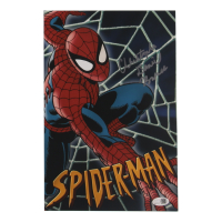 Christopher Daniel Barnes "Spider-Man" 8x12 Photo (JSA) at PristineAuction.com