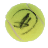 Novak Djokovic Signed Tennis Ball (Beckett) at PristineAuction.com
