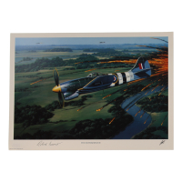 Roland Beamont Signed Stan Stokes "The Exterminator" Lithograph (AIV) at PristineAuction.com