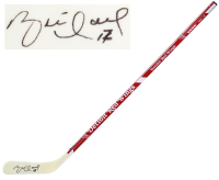 Brett Hull Signed Red Wings Hockey Stick (Schwartz) at PristineAuction.com