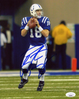 Peyton Manning Signed Colts 8x10 Photo (JSA) at PristineAuction.com