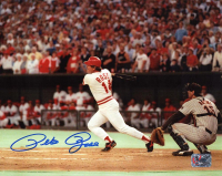 Pete Rose Signed Reds 8x10 Photo (Rose & Schwartz) at PristineAuction.com