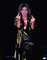 Ozzy Osbourne Signed 16x20 Photo (JSA) at PristineAuction.com