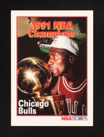 Michael Jordan 1991-92 Hoops #543 FIN at PristineAuction.com