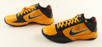 Caitlin Clark Signed Nike Kobe V Protro Shoes (PSA) at PristineAuction.com