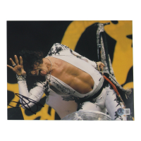 Steven Tyler Signed 8x10 Photo (Beckett) at PristineAuction.com