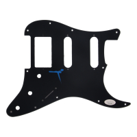 Patrick Stump Signed Electric Guitar Pickguard (JSA) at PristineAuction.com
