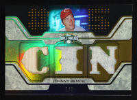 Johnny Bench 2008 Topps Triple Threads Relics Gold #201 #7/9 at PristineAuction.com