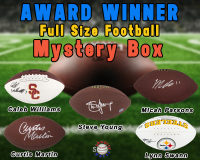 Football AWARD WINNER Signed Full Size Football - Series 16 (Limited to 100) - Schwartz Sports at PristineAuction.com