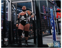 Bronson Reed Signed WWE 8x10 Photo (Fanatics) at PristineAuction.com