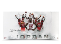 Michael Jordan Signed LE Bulls Jersey Collage 18x36 Photo (UDA) at PristineAuction.com