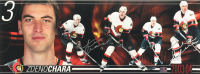 Zdeno Chara Signed Senators 9x24 Photo (Chara) at PristineAuction.com