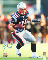 Danny Woodhead Signed Patriots 16x20 Photo (YSMS) at PristineAuction.com