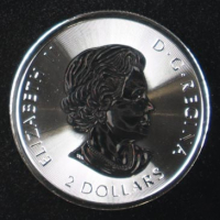 2018 Canada "Polar Bear" .5 Ounce .9999 Fine Silver Coin at PristineAuction.com