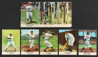 1961 Golden Press Baseball Complete Set of (33) Cards with Babe Ruth #3, Lou Gehrig #16, Ty Cobb #25, Joe DiMaggio #9 & Jimmie Foxx #22 at PristineAuction.com