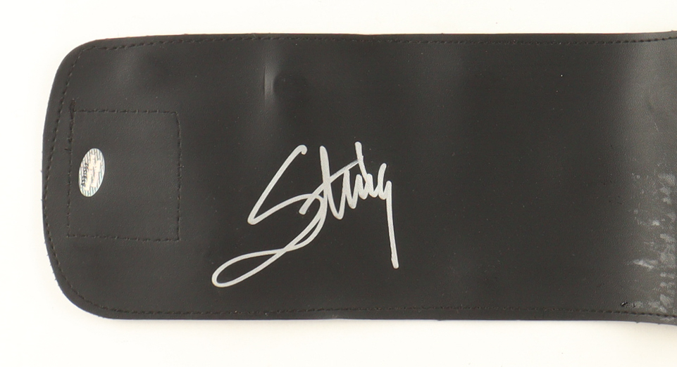 Sting Signed WWE Championship Belt (Schwartz) at PristineAuction.com Sting Signed WWE Championship Belt (Schwartz) at PristineAuction.com