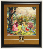 Thomas Kinkade Walt Disney's "Sleeping Beauty" Custom Framed Print Display with Aurora Pin at PristineAuction.com