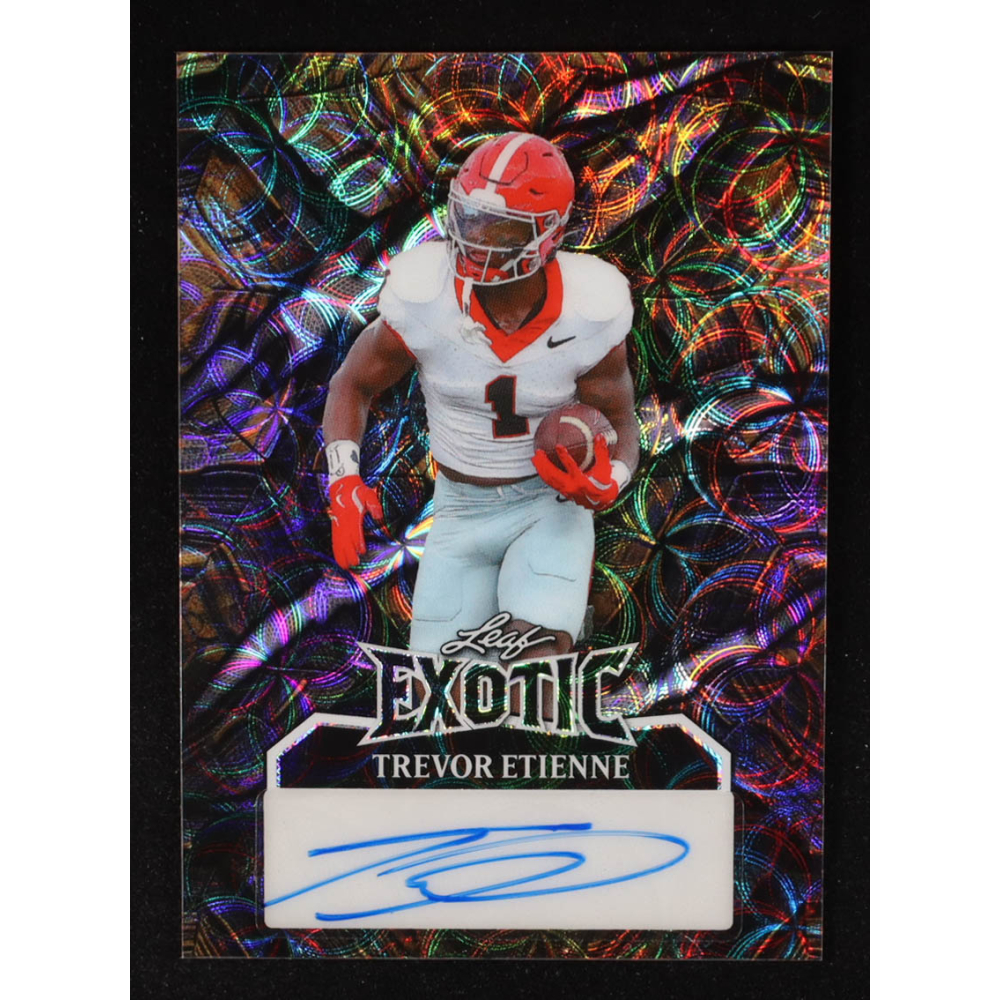 Trevor Etienne 2024 Leaf Eclectic Exotic Autographs Turtle Kaleidoscope #ETE1 RC #2/8 at PristineAuction.com