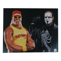 Hulk Hogan & Sting Signed WWE 16x20 Photo (JSA) at PristineAuction.com