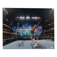 Cody Rhodes Signed WWE 16x20 Photo (JSA) at PristineAuction.com