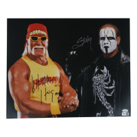 Hulk Hogan & Sting Signed WWE 16x20 Photo (JSA) at PristineAuction.com