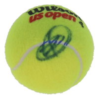 Novak Djokovic Signed Tennis Ball (JSA) at PristineAuction.com