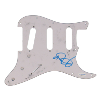 Blake Lively Signed Electric Guitar Pickguard (ACOA) at PristineAuction.com