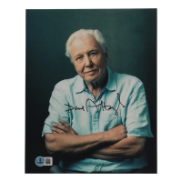 David Attenborough Signed 8x10 Photo (Beckett) at PristineAuction.com
