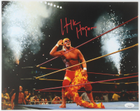 Hulk Hogan Signed WWE 11x14 Photo (JSA) at PristineAuction.com
