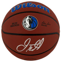 Jason Kidd Signed NBA Mavericks Logo Basketball (Schwartz) at PristineAuction.com