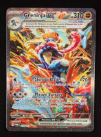 Greninja ex 2024 Pokemon Scarlet and Violet Twilight Masquerade #214 Holo at PristineAuction.com