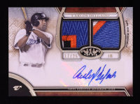 Carlos Delgado 2015 Topps Tier One Autograph Dual Relics #DARCD #17/25 at PristineAuction.com