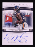 David Montgomery 2019 Panini National Treasures Rookie Signatures #14 #89/99 RC at PristineAuction.com