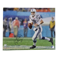 Peyton Manning Signed Colts 16x20 Photo (Fanatics) at PristineAuction.com