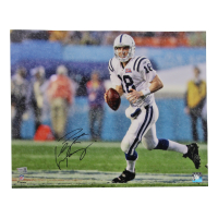 Peyton Manning Signed Colts 16x20 Photo (Fanatics) at PristineAuction.com