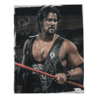 Diesel Signed WWE 11x14 Photo (JSA) at PristineAuction.com