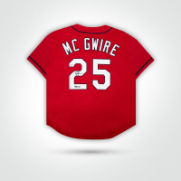 Mark Mcgwire Signed Cardinals Mitchell & Ness Authentic Jersey Inscribed "583 HRs" (MLB) at PristineAuction.com