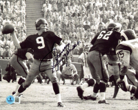 Sonny Jurgensen Signed Redskins 8x10 Photo (Beckett) at PristineAuction.com