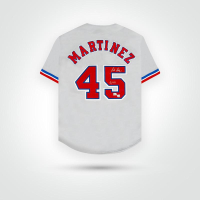 Pedro Martinez Signed Expos Mitchell & Ness Authentic Jersey Inscribed "CY 97" (Fanatics & MLB) at PristineAuction.com