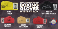 Boxing World Champion Signed Boxing Glove Mystery Box - Series 17 (Limited to 100) – Schwartz Sports at PristineAuction.com