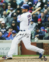 Ben Zobrist Signed Cubs 16x20 Photo (Beckett & Zobrist) at PristineAuction.com
