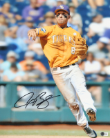Alex Bregman Signed LSU Tigers 16x20 Photo (Beckett) at PristineAuction.com