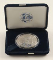 2000-P Silver Eagle 1oz. Fine Silver $1 Dollar Coin at PristineAuction.com